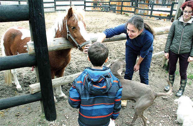 У Зоо-кутку код Ниша: Лажна трудноћа спасла магарицу